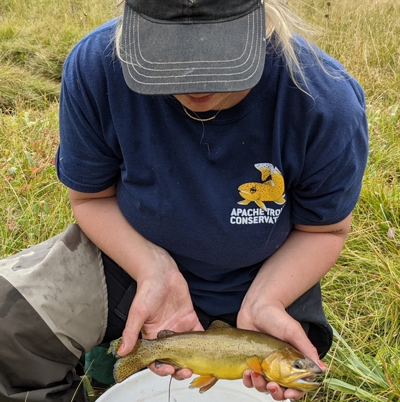 Meet your Posher, Grace✨ - Picture 3 of 4